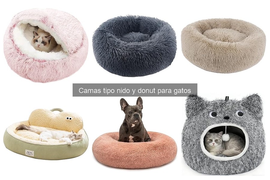 Camas para gatos: ¿Es necesario un tipo específico según la temporada?