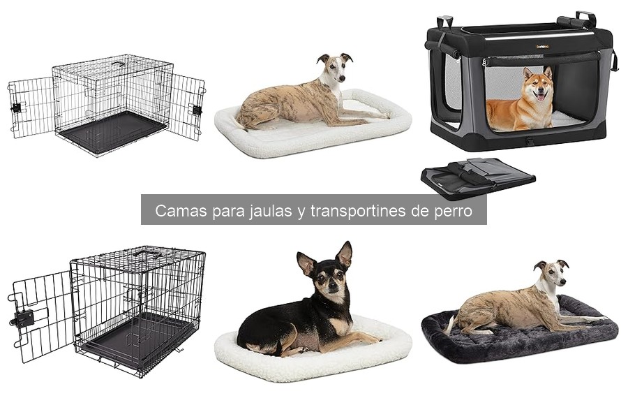 Camas para jaulas y transportines de perro: ¿Qué son y beneficios?