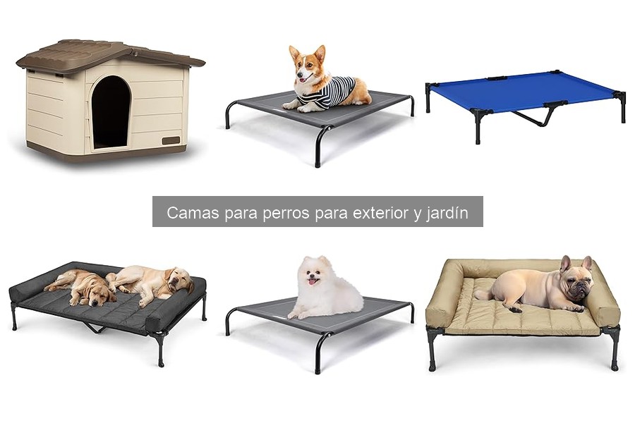 Camas para perros de exterior: precios y dónde comprarlas