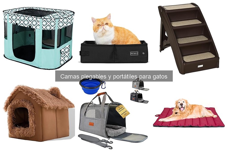 Camas Plegables y Portátiles para Gatos: ¿Qué Son y Para Qué Sirven?