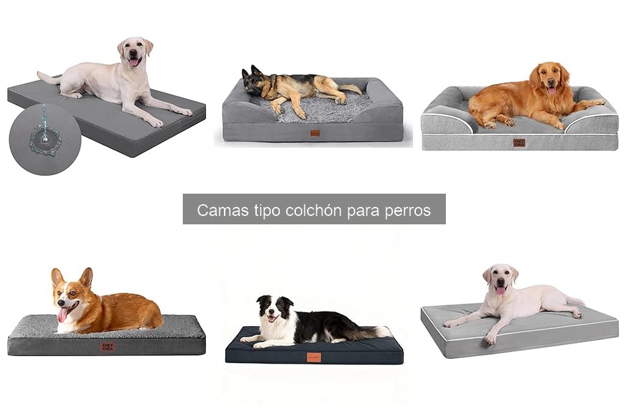 Camas tipo colchón para perros: Características y beneficios