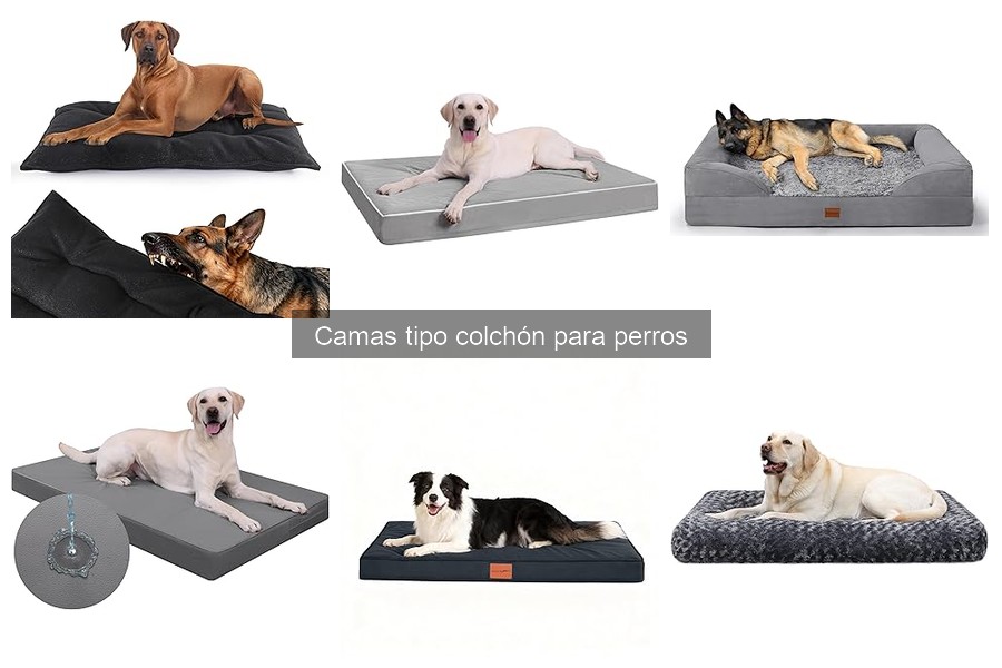 Camas tipo colchón y su impacto en la salud de los perros