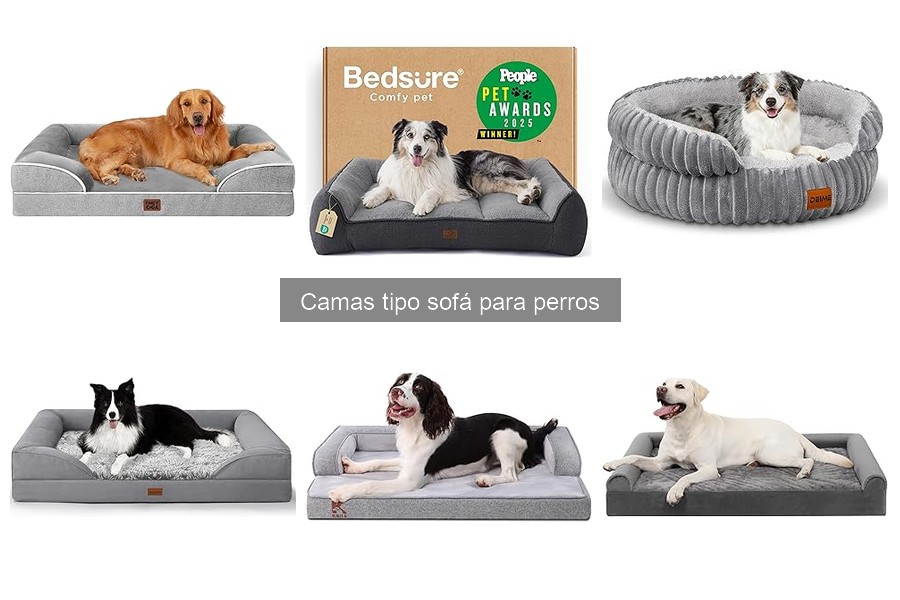Camas tipo sofá para perros: beneficios y características