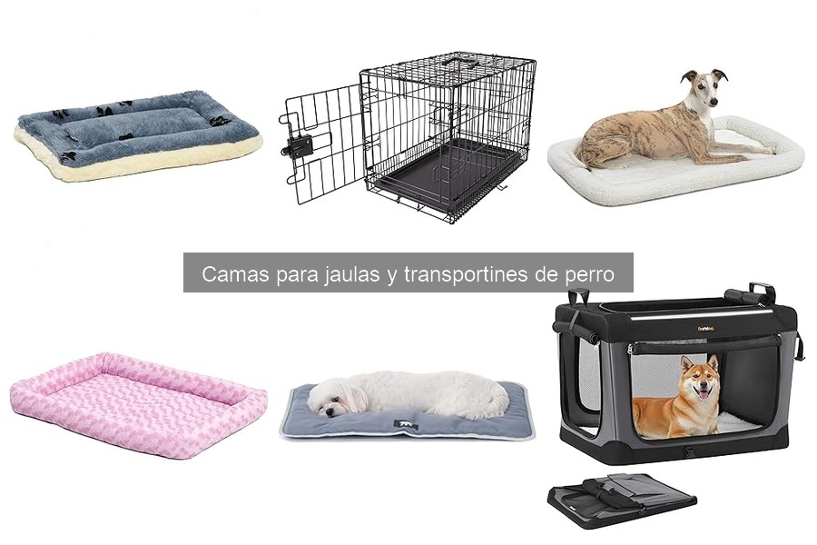 Cambios de Comportamiento en Perros con Camas en Transportines