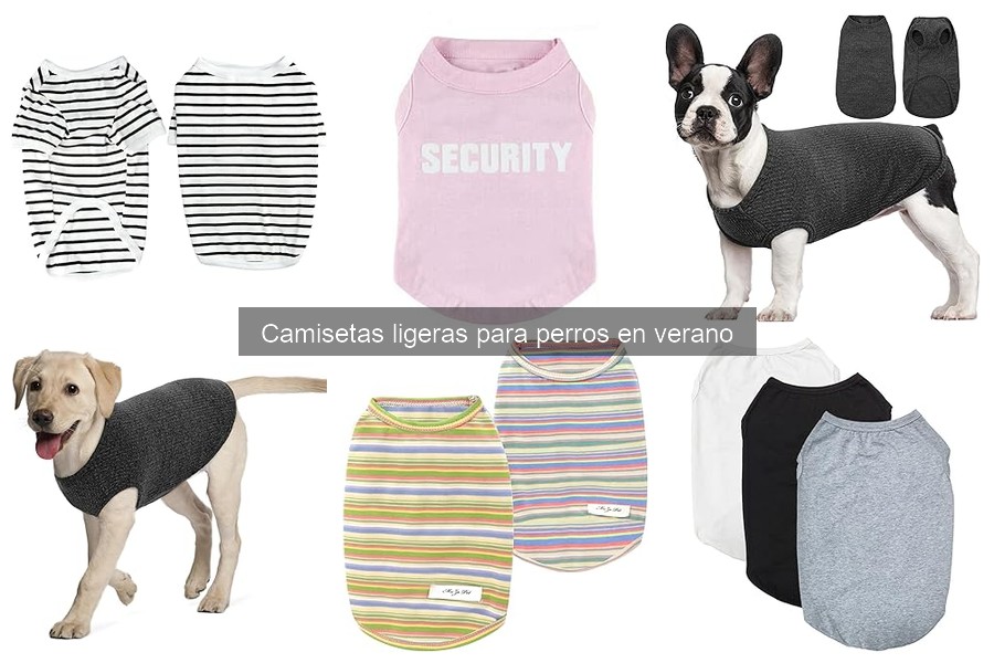 Camisetas ligeras para perros con problemas de piel