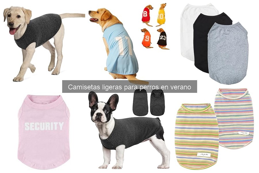 Camisetas ligeras para perros: grandes vs. pequeños
