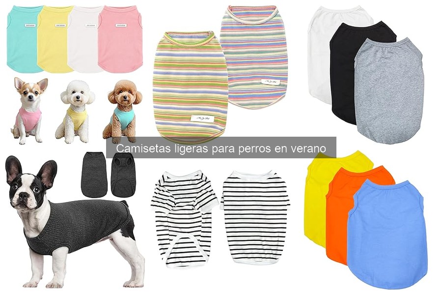 Camisetas ligeras para perros: ¡fáciles de poner y quitar!