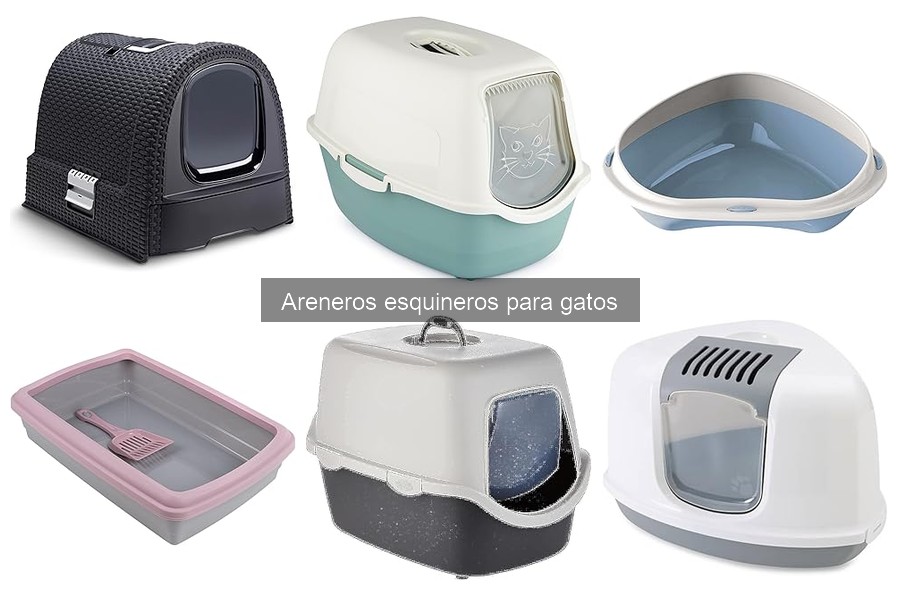 Características Clave de Areneros Esquineros para Gatos