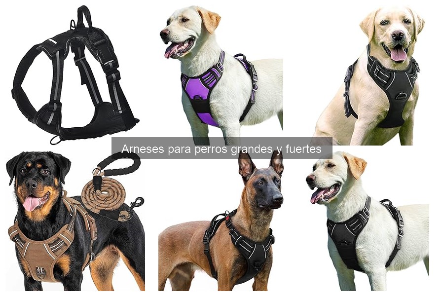 Características Clave de Arnés para Perros Grandes y Fuertes