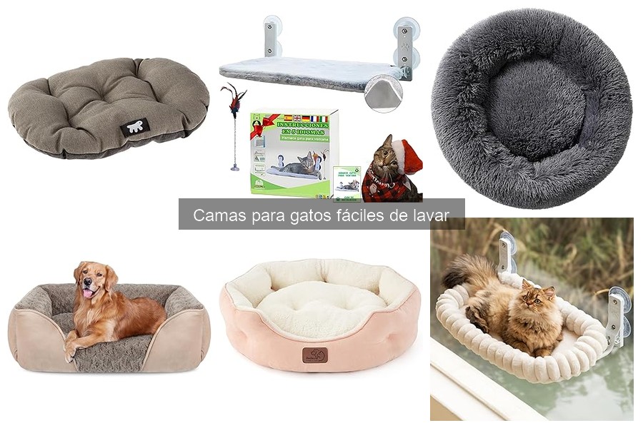 Características clave de camas para gatos fáciles de lavar