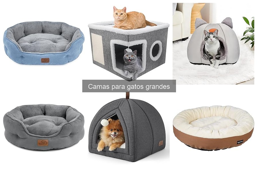 Características clave de camas para gatos grandes