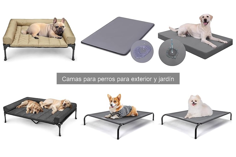 ** Características Clave de Camas para Perros en Exterior