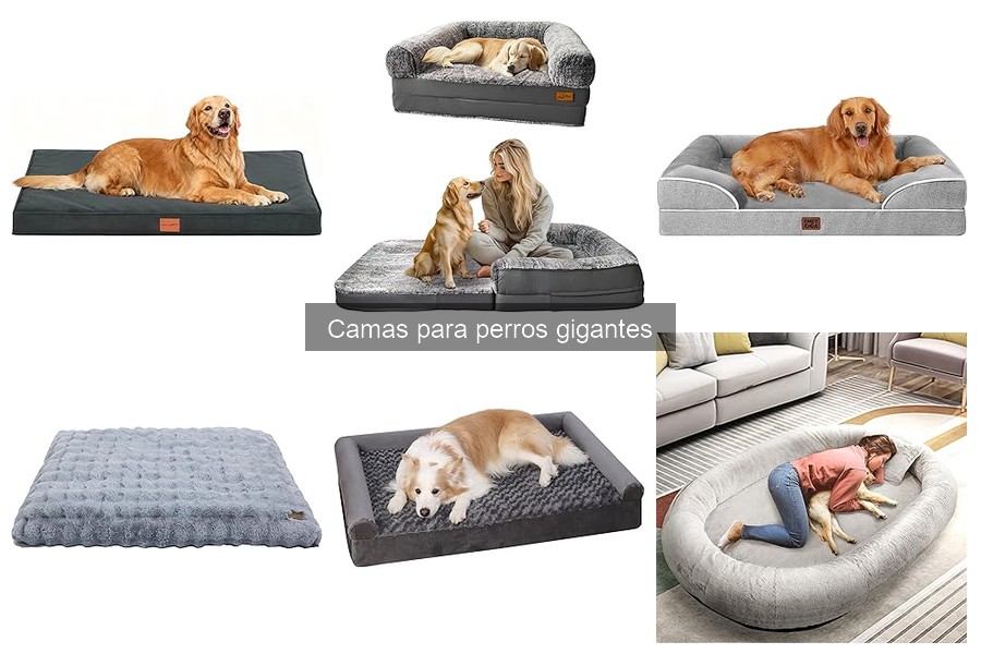 Características Clave de Camas para Perros Gigantes