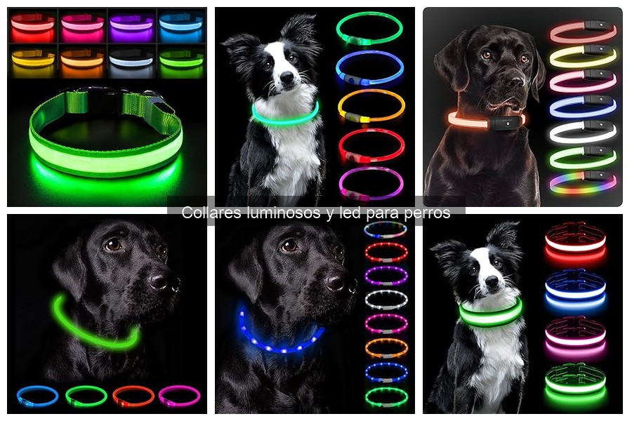 Características Clave de los Collares Luminosos para Perros