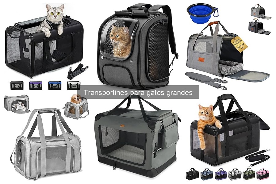 Características Clave de los Transportines para Gatos Grandes