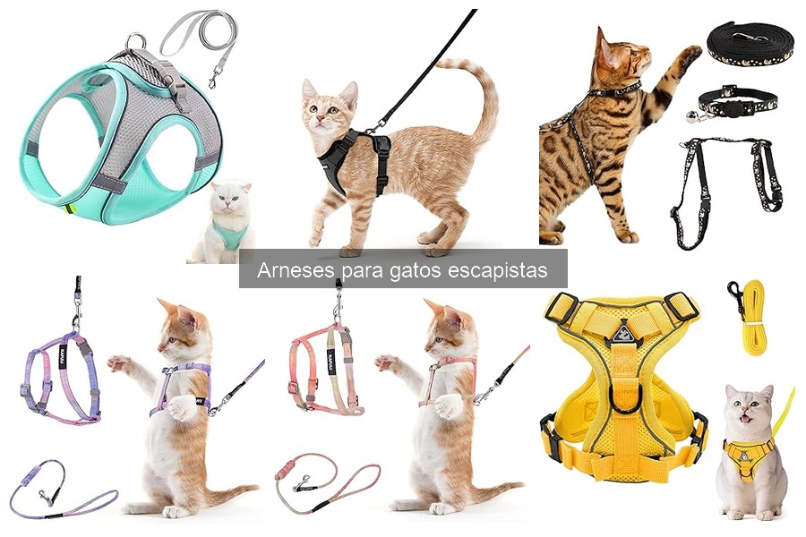 Características Clave de un Arnés para Gatos Escapistas