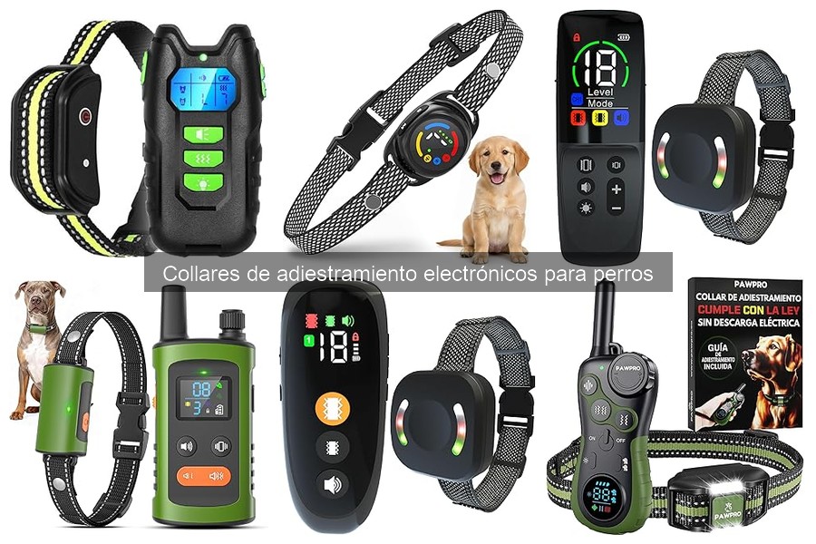 Características Clave para Elegir un Collar de Adiestramiento
