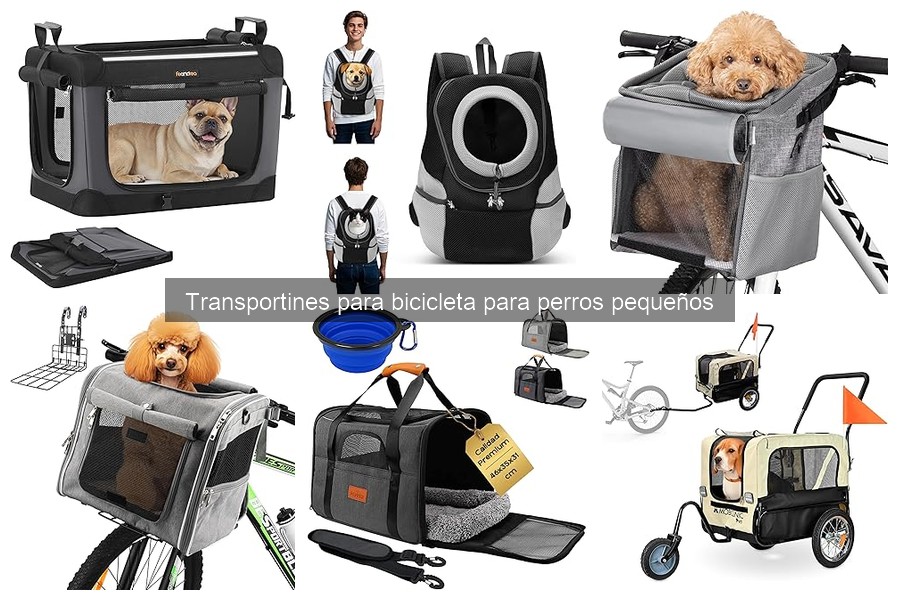 Características de seguridad en transportines para bicicletas