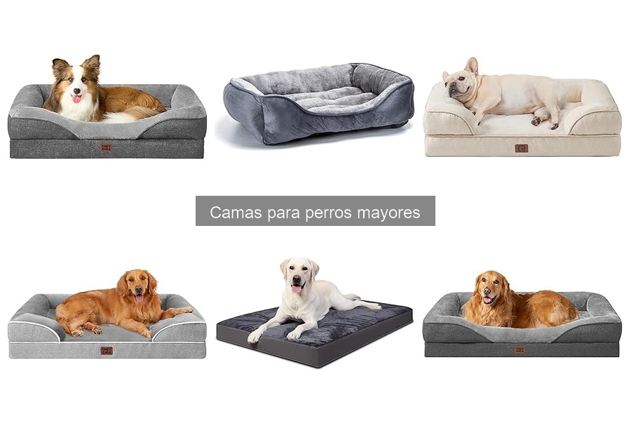 Características esenciales de camas para perros mayores