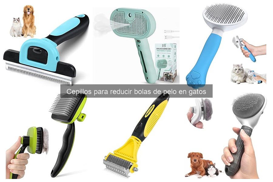 Características esenciales en cepillos para gatos: guía de compra