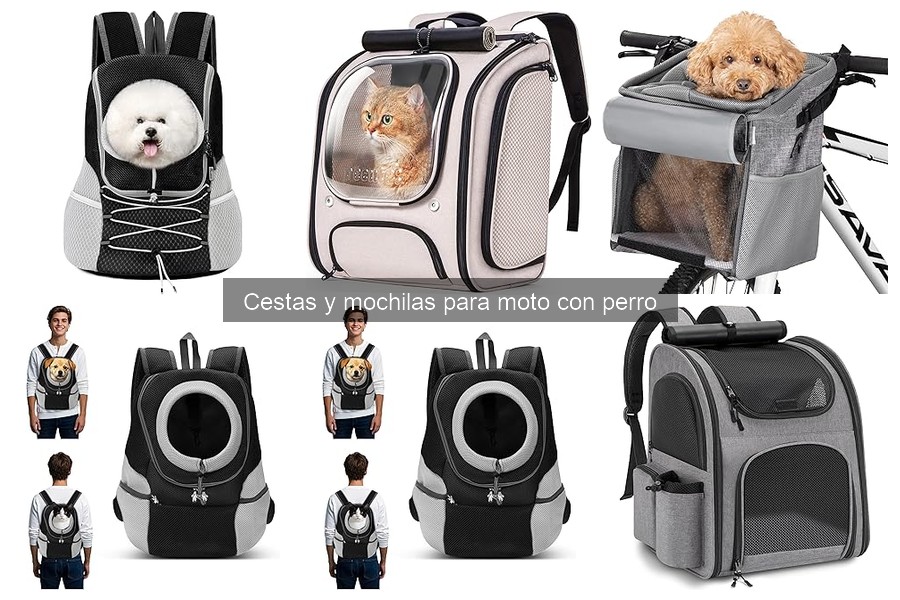 Cestas y Mochilas para Moto según el Tamaño del Perro