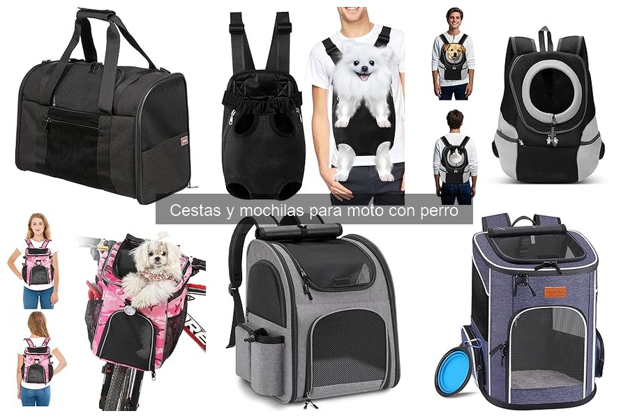 Cestas y mochilas para moto seguras para transportar perros