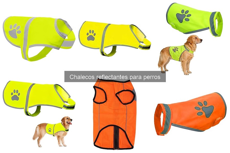 ** Chalecos Reflectantes para Perros: Guía por Tamaño y Raza