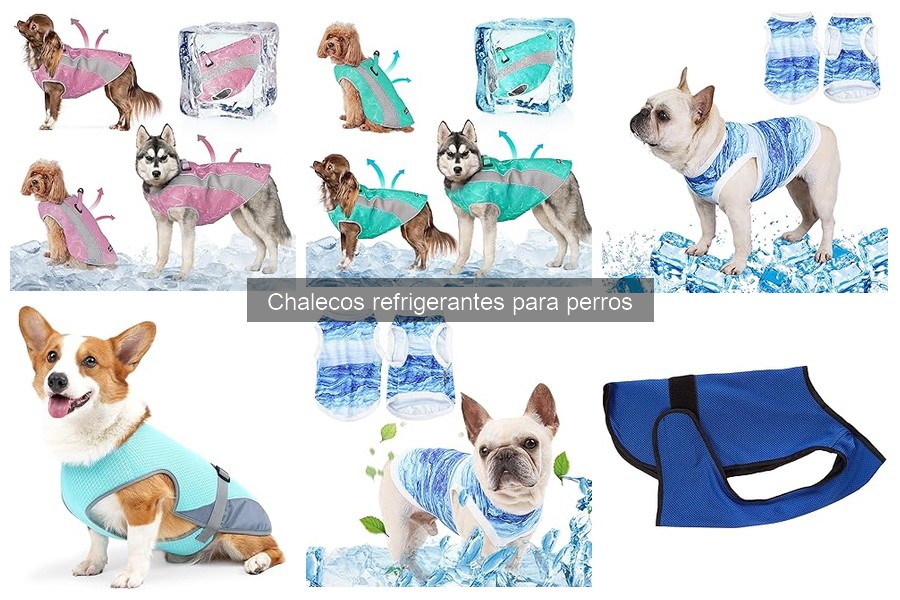 Chalecos refrigerantes para perros: mejores precios y tiendas