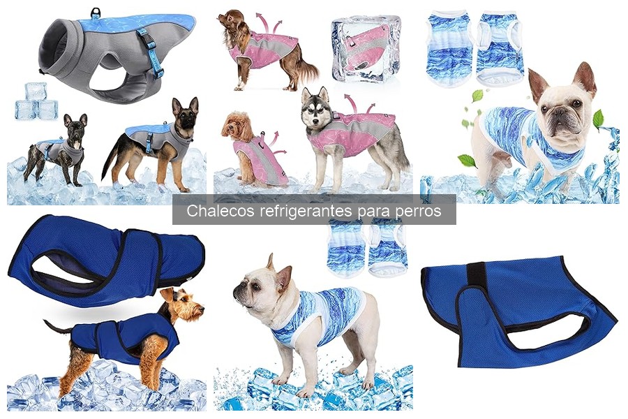 Chalecos refrigerantes para perros pequeños y grandes: comparativa