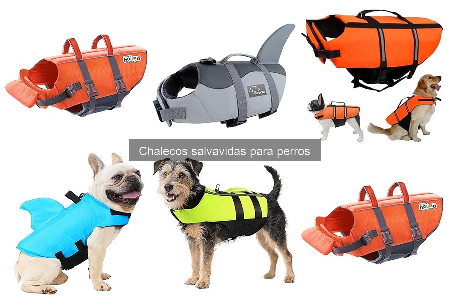 Chalecos salvavidas para perros: ¿Dónde comprarlos a buen precio?