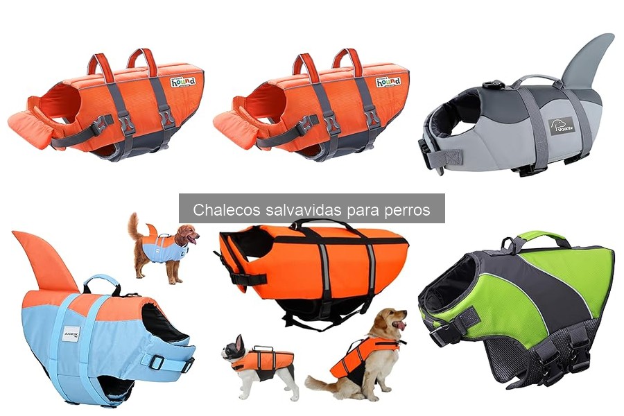 Chalecos Salvavidas para Perros Senior y con Discapacidad