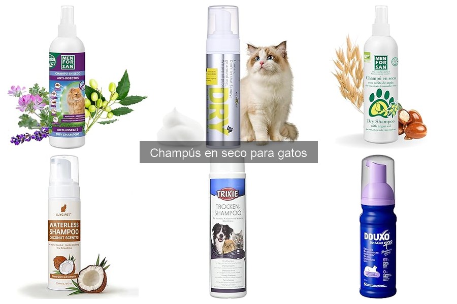 Champús en seco para gatos con piel sensible: Mejores opciones