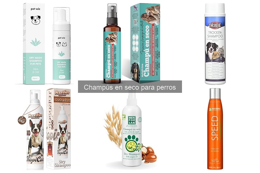 Champús en Seco para Perros: ¿Son Seguros para la Piel Sensible?