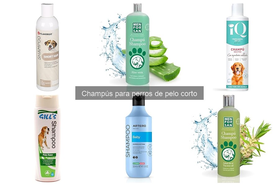 Champús Naturales para Perros de Pelo Corto: Beneficios y Selección