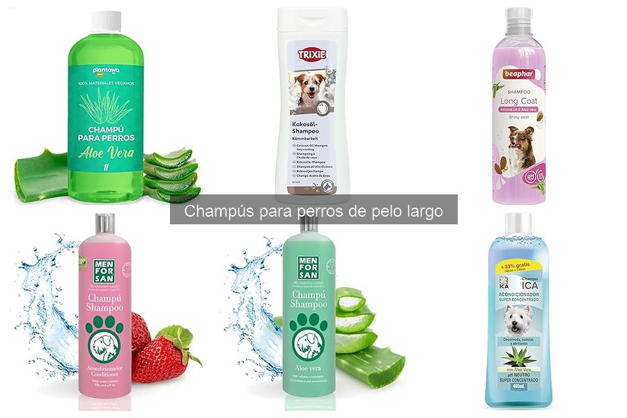 Champús Recomendados para Perros de Pelo Largo y Piel Sensible