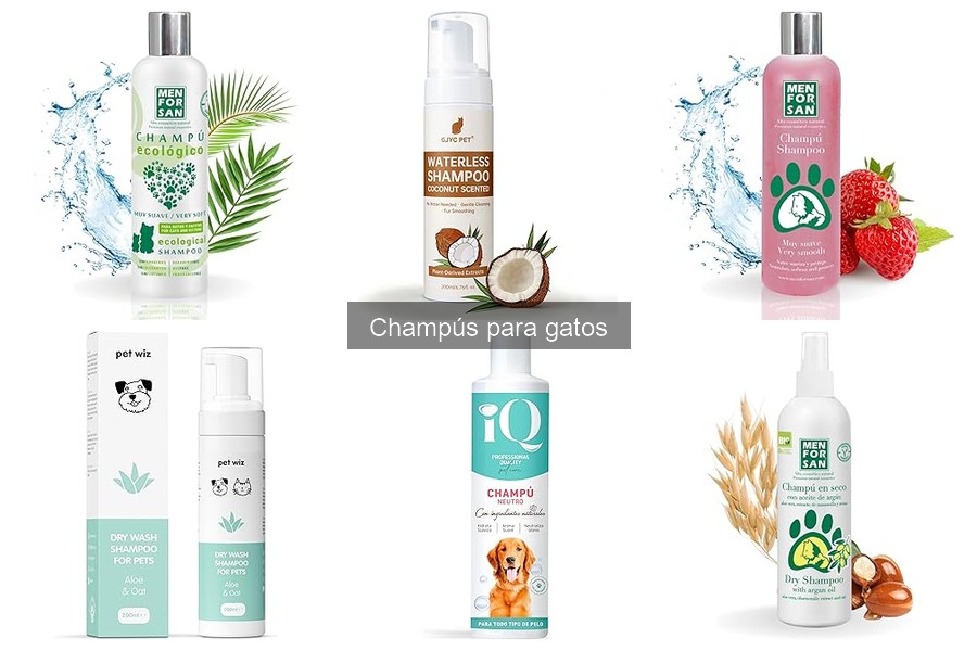 Champús seguros para gatos: ingredientes y recomendaciones