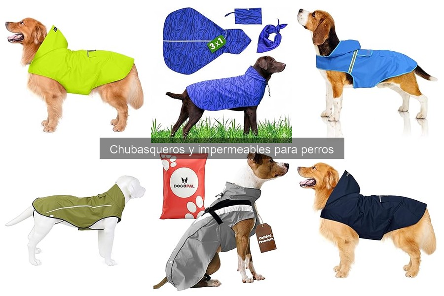 Chubasqueros para perros con movilidad reducida: Mejores opciones