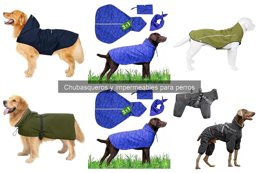 Chubasqueros Personalizados para Perros: ¡Hazlos Únicos!