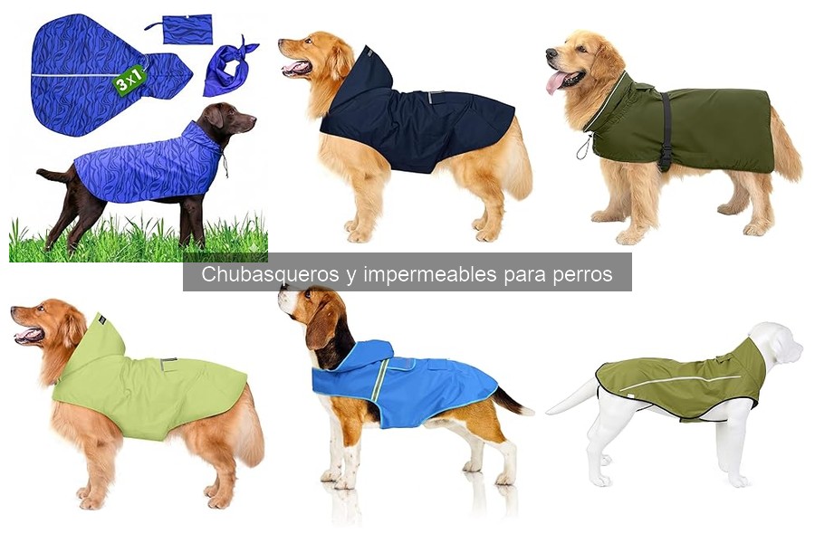 Chubasqueros Reflectantes para Perros: Seguridad y Estilo