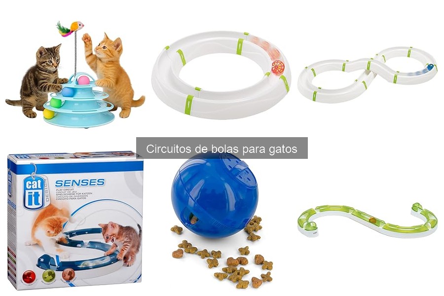 Circuitos de bolas para gatos: ¿Son seguros para tu mascota?