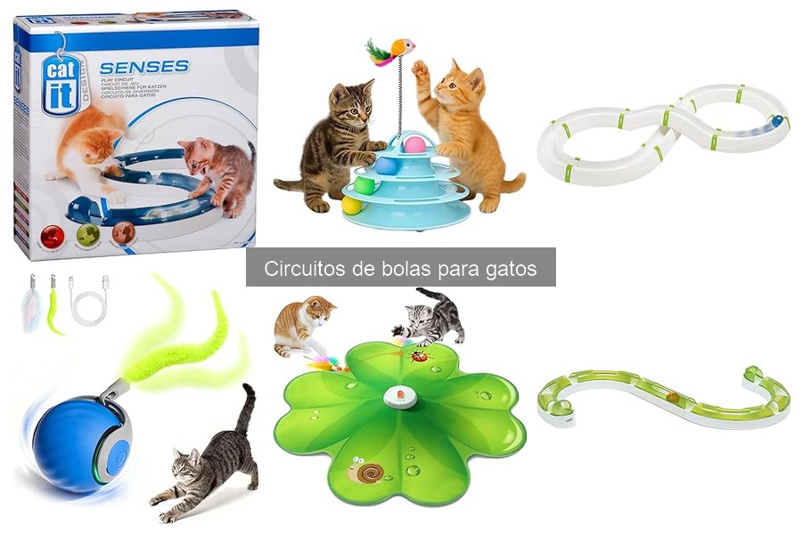 Circuitos de bolas: ¿Son aptos para todos los gatos?