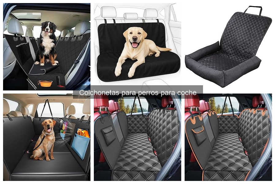 Colchonetas para perros pequeños vs. grandes: ¿cuál elegir?