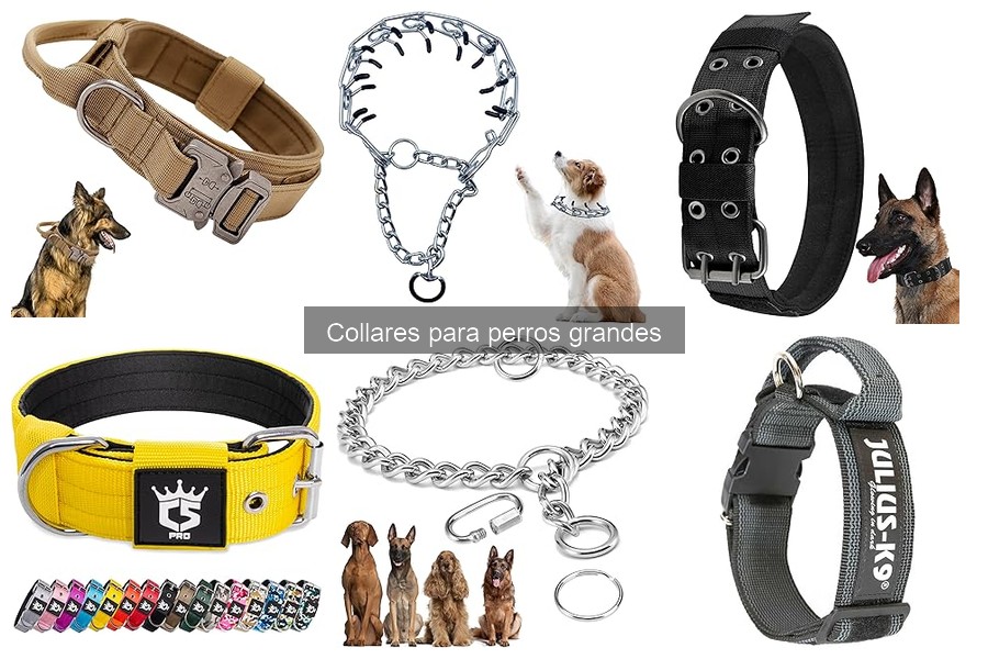 Collares antipull para perros grandes: ¡se acabaron los tirones!