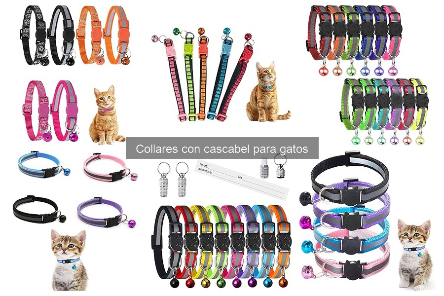 Collares con cascabel para gatos: ¿Dónde comprarlos baratos?