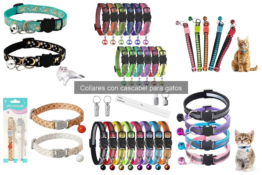 Collares con cascabel para gatos: ¿Qué son y beneficios?