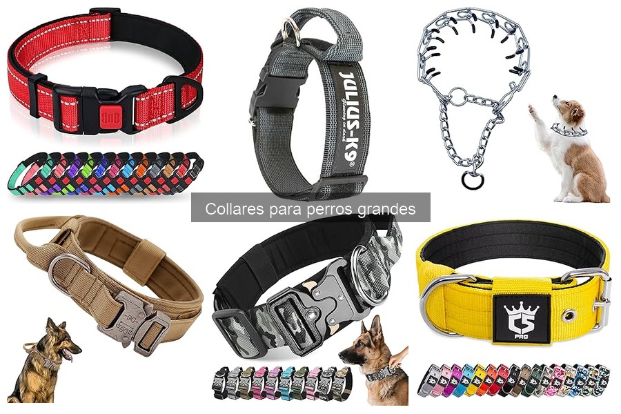 Collares con GPS para perros grandes: ¿vale la pena?