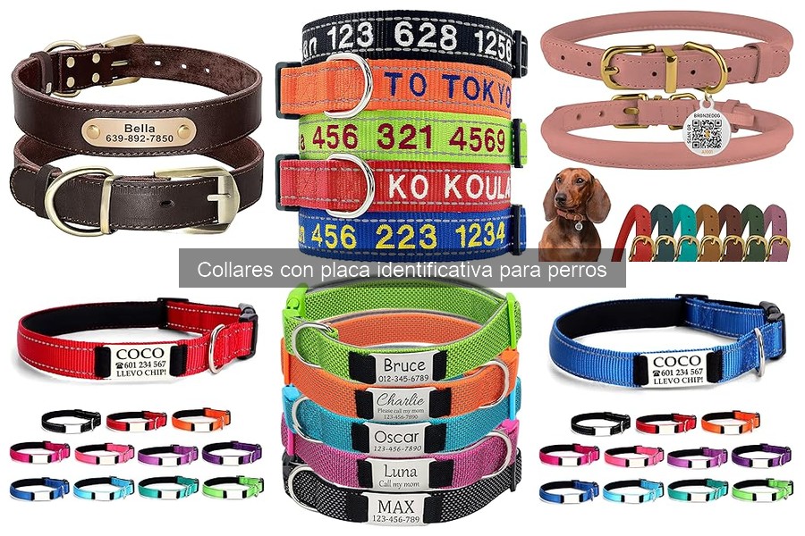 Collares con Placa Identificativa para Perros: Función y Beneficios