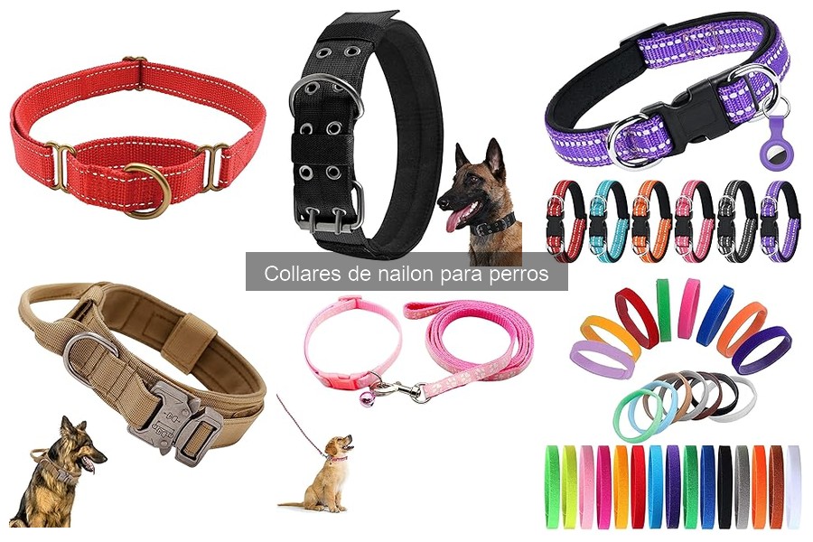 Collares de nailon con características especiales para perros
