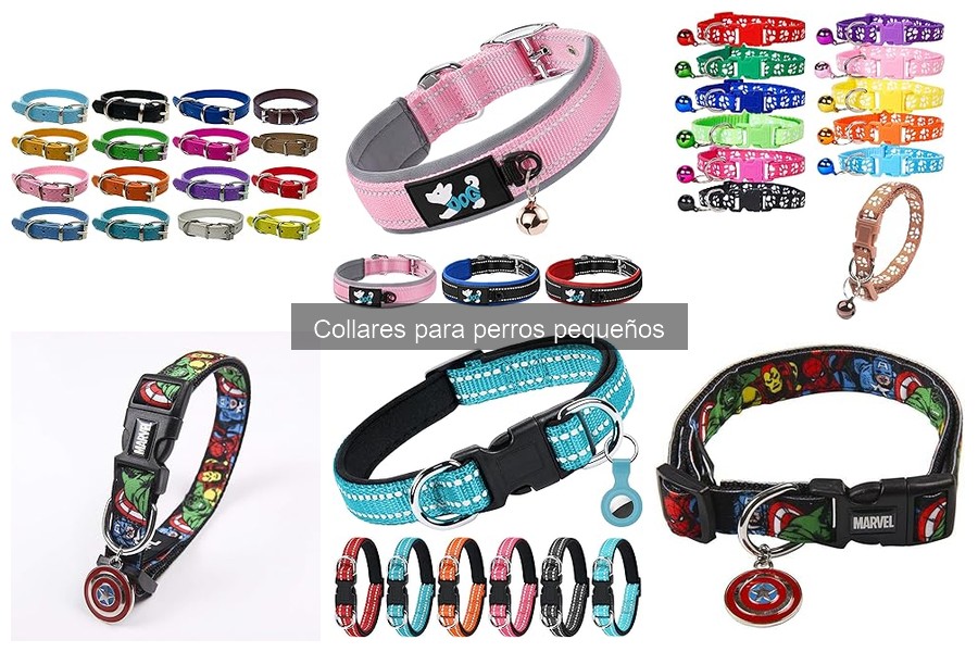 Collares GPS para perros pequeños: ¿valen la pena?