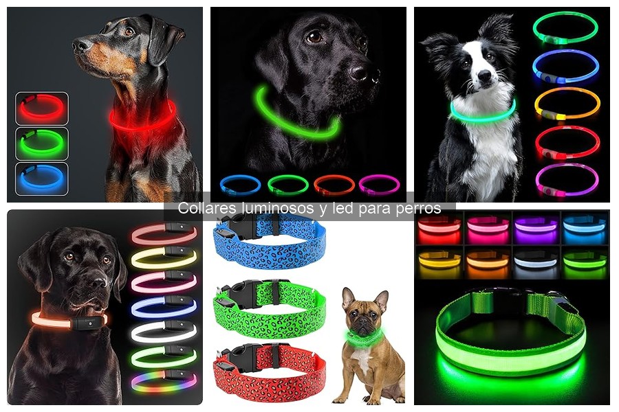 Collares Luminosos y LED para Perros: ¿Qué Son y Cómo Funcionan?